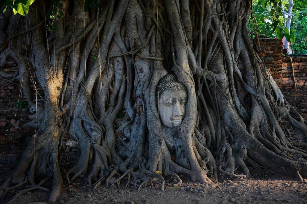 Oyo 384 Ban Sabaidee Hotel Ayutthaya Eksteriør billede